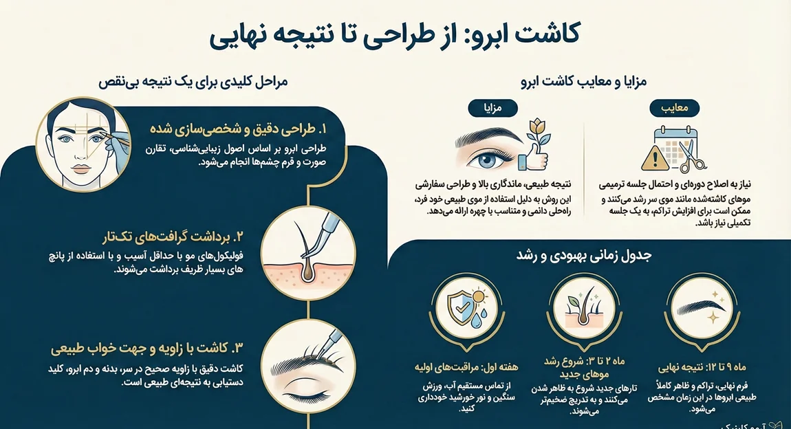 اینفوگرافیک مراحل کاشت ابرو