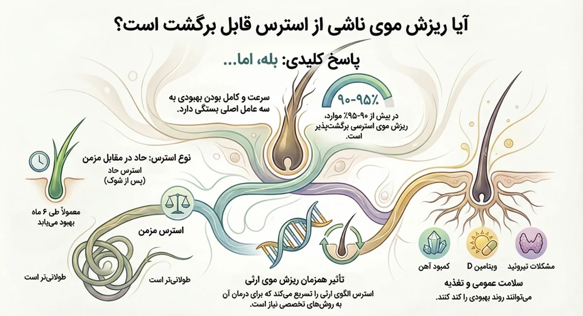 اینفوگرافیک برگشت پذیری مو بعد از استرس