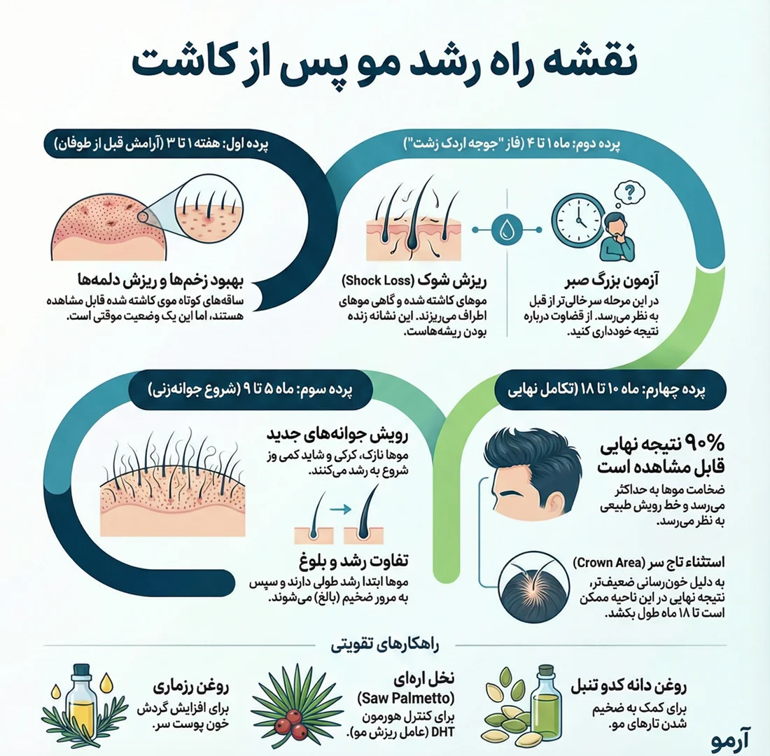 اینفوگرافیک نقشه راه رشد مو