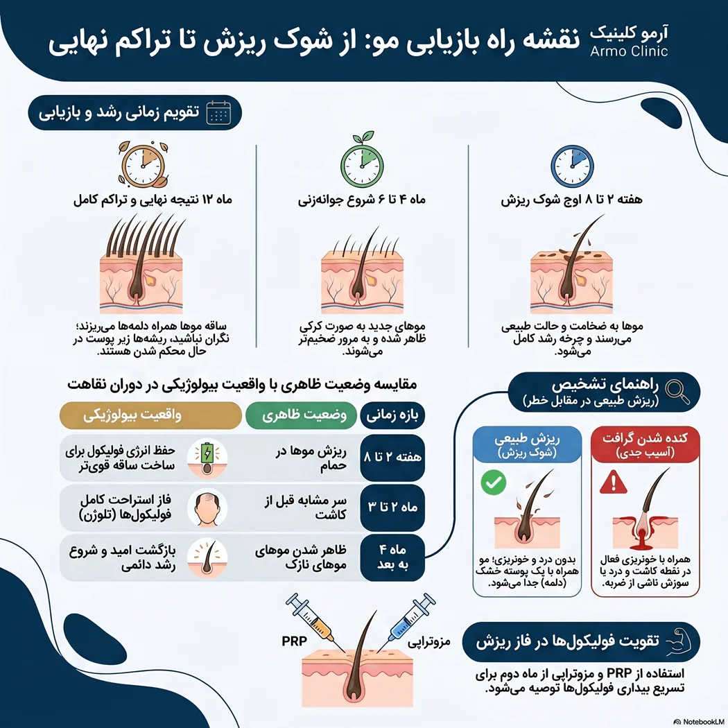 ریزش مو بعد از کاشت از کی شروع میشه؟ (تجربه بالینی + بررسی علمی شوک ریزش) 1 اینفوگرافیک ریزش مو بعد از کاشت