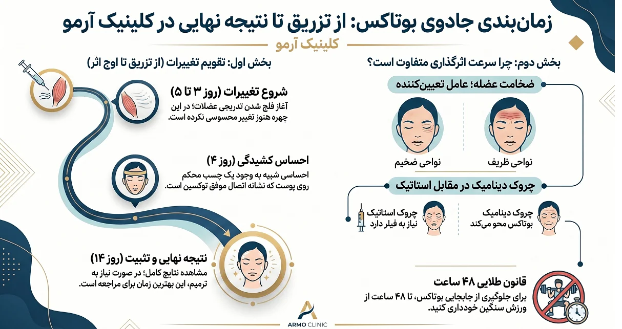 چند روز بعد از بوتاکس اثر آن مشخص میشود؟ (تایملاین کامل + تجربیات بالینی) 1 اینفوگرافیک آغاز تاثیر بوتاکس