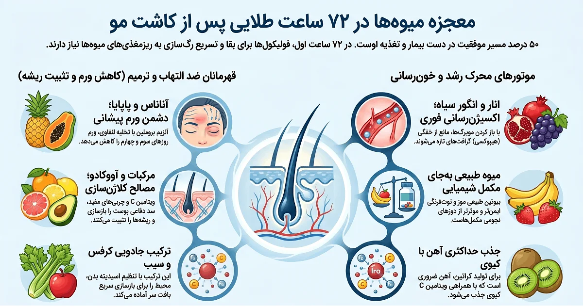 اینفوگرافیک میوه های مناسب بعد از کاشت مو