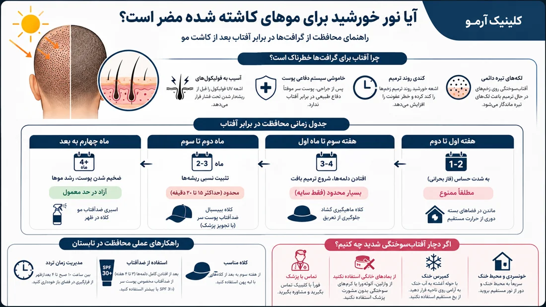 اینفوگرافیک تاثیرات نور خورشید بر گرافت ها
