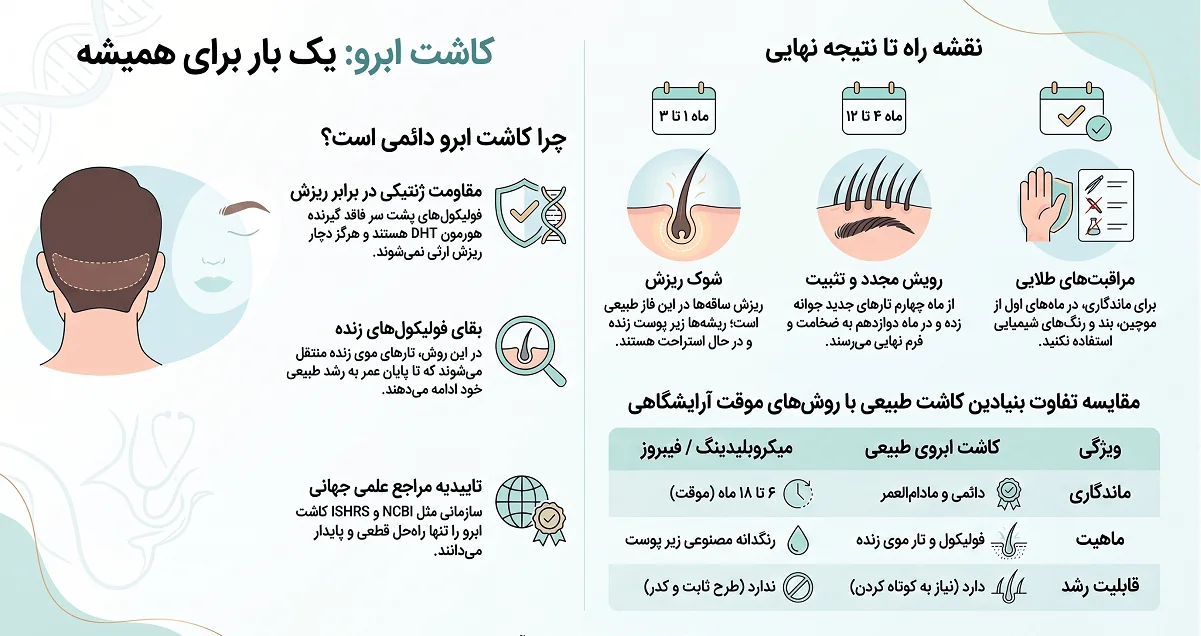 اینفوگرافیک ماندگاری کاشت ابرو 