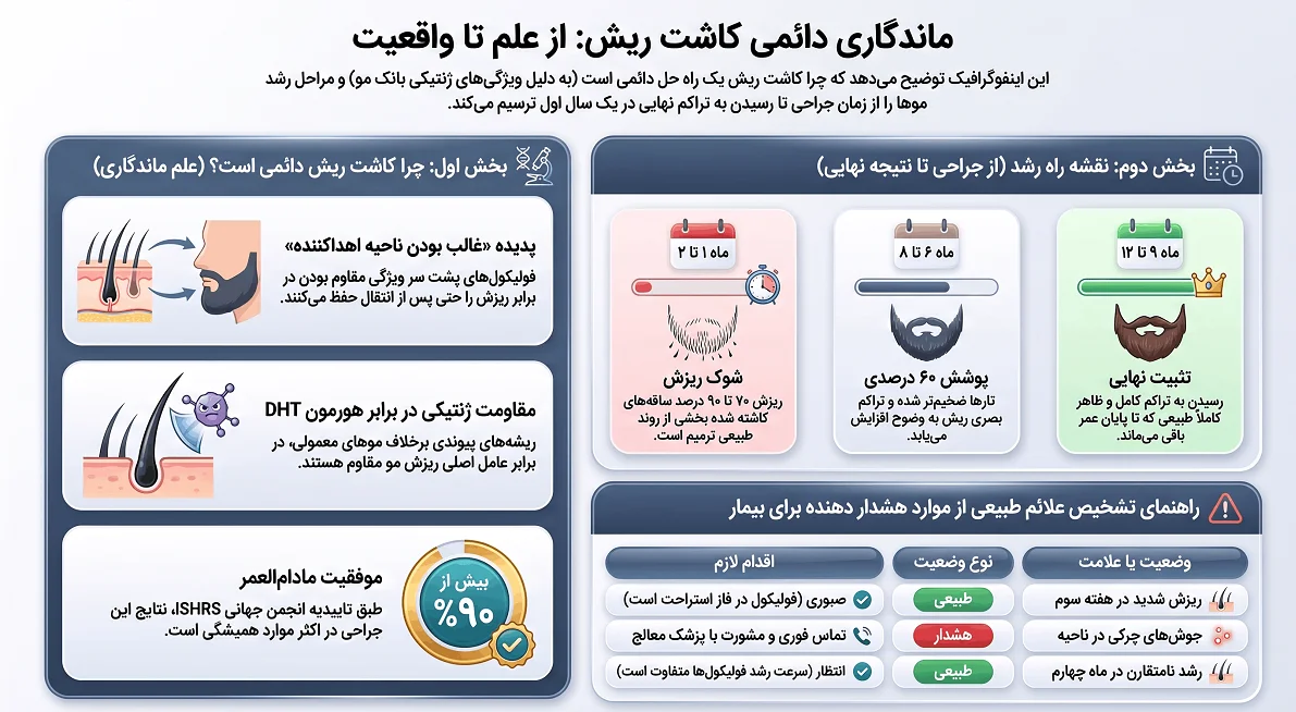 اینفوگرافیک ایا کاشت ریش دائمی است 