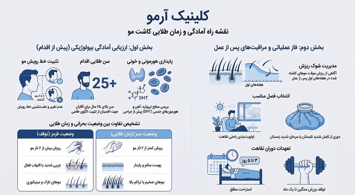 اینفوگرافیک بهترین فصل کاشت مو 