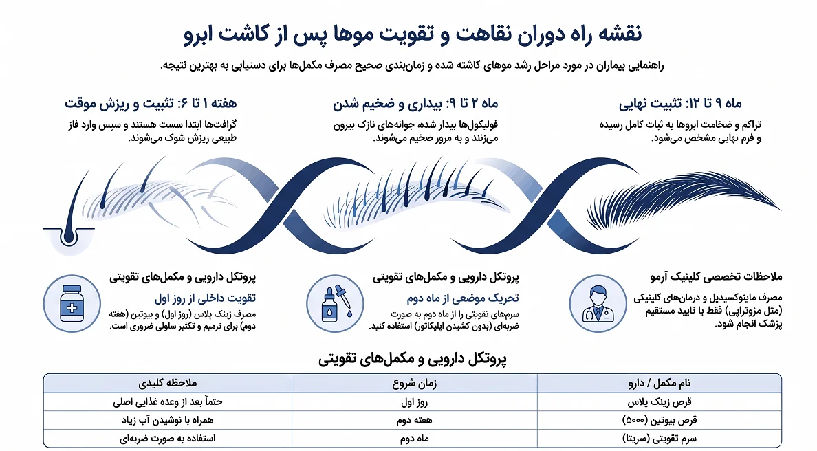 اینفوگرافیک تقویت کاشت ابرو 