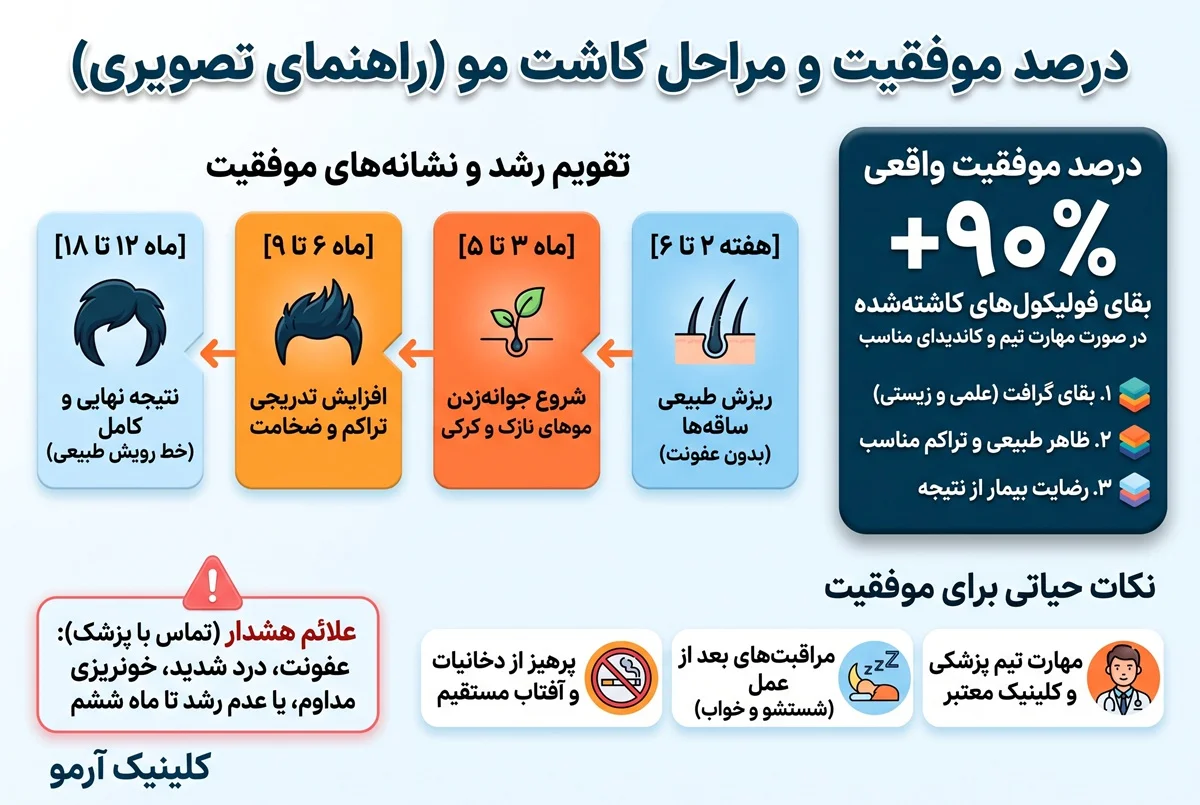اینفوگرافیک درصد موفقیت کاشت مو و تقویم مراحل رشد مو در کلینیک آرمو